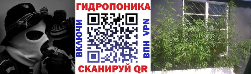 omg зеркало  Бирюсинск  Шишки марихуана THC 21%  где продают  